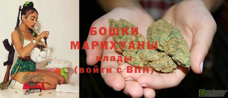 Бошки Шишки THC 21%  Гдов 